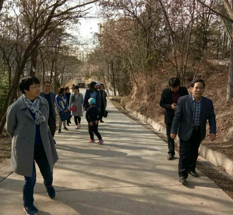 爬山活动现场